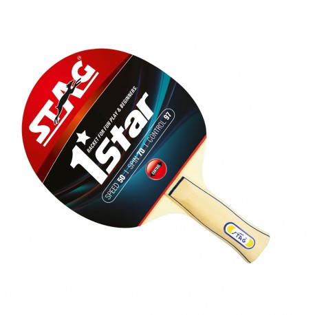 paleta homologada de ping pong 1 star