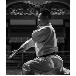 Karategi Tokaido Yakudo kata 12oz.