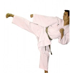Karategi TRIUMPH de Kumite