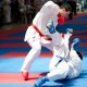 Karategi Kumite Master Tagoya WKF