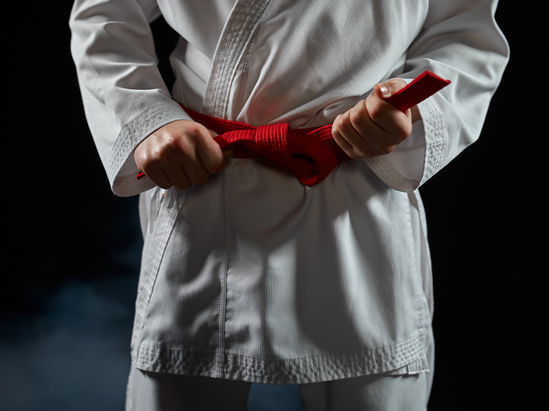 compensar Quejar observación Significado de los colores de los cinturones en karate - Tagoya