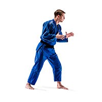 judo