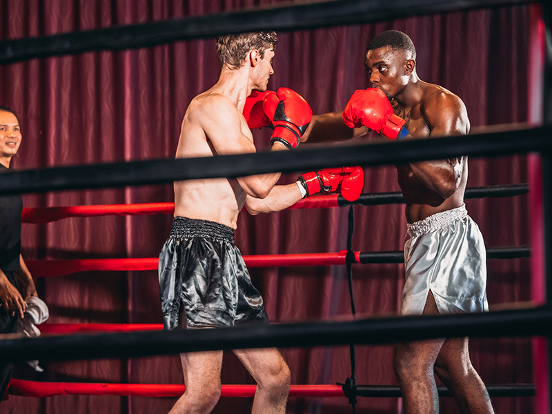 Boxeadores