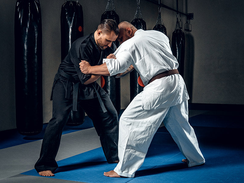 Dos hombres practicando artes marciales.