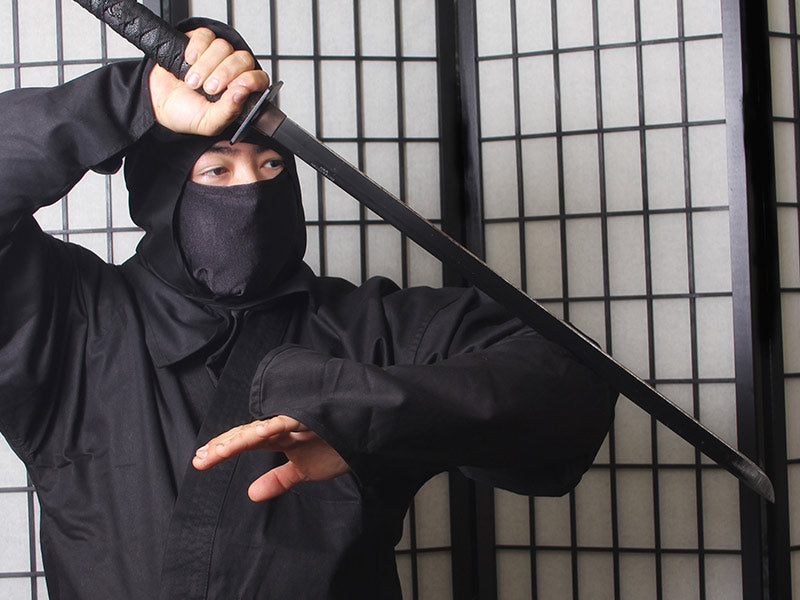 ninja practicando ninjutsu