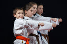 ¿Cuál es la mejor edad para iniciarse en las artes marciales?