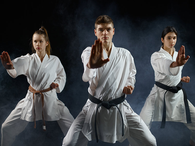 tipos de karate