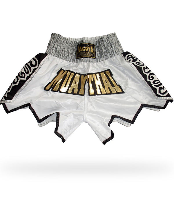 Muay Thai / Thai boxing