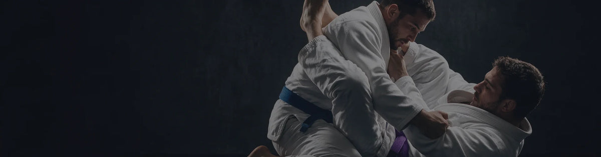 Otras artes marciales