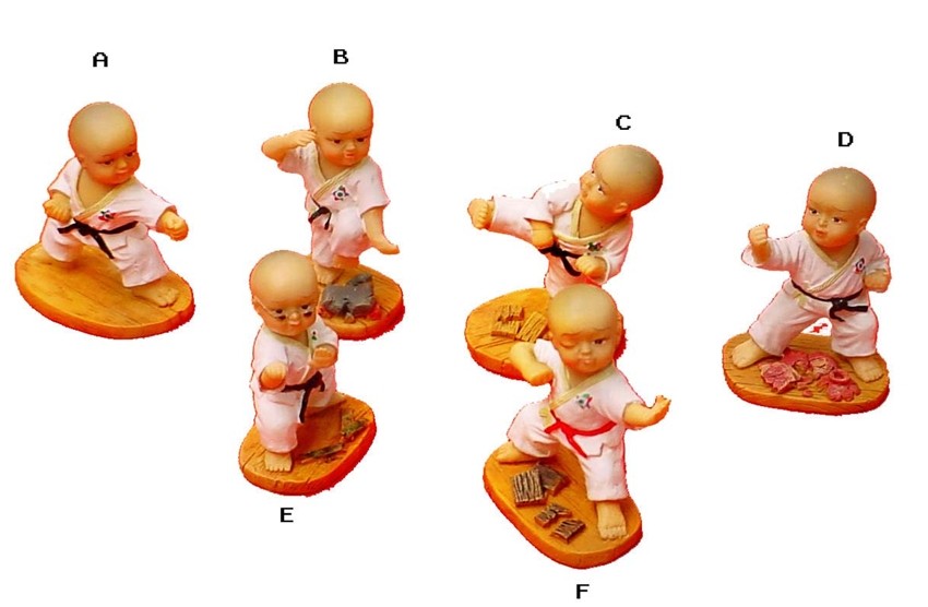 Pack de 6 figuras de karate.