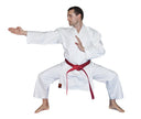 Karategi KATA MASTER