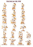 Pins de Judo