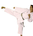 Karategi TRIUMPH de Kumite