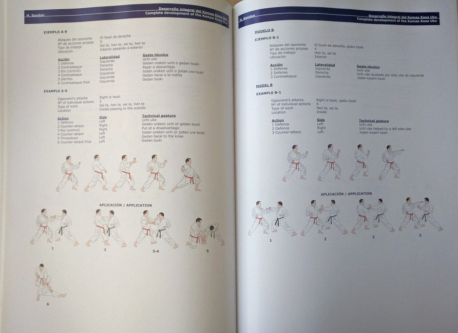 Libro Metodología integral Karate Kata